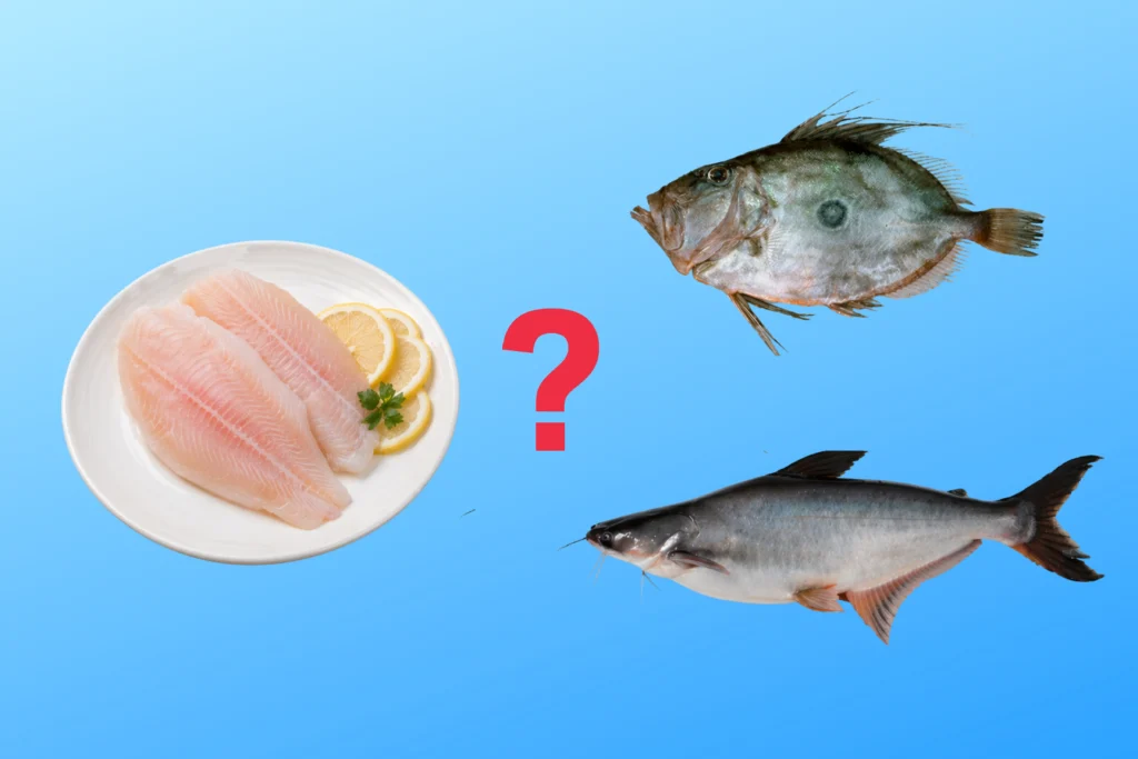 ikan dori vs ikan patin