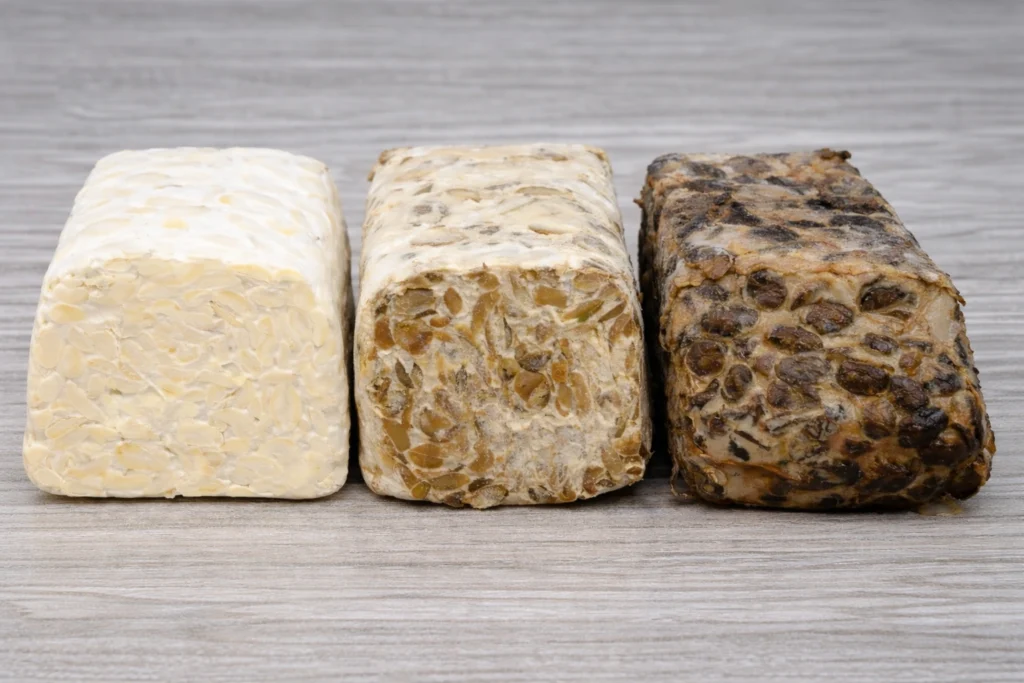 tempe segar, tempe semangit dan tempe busuk