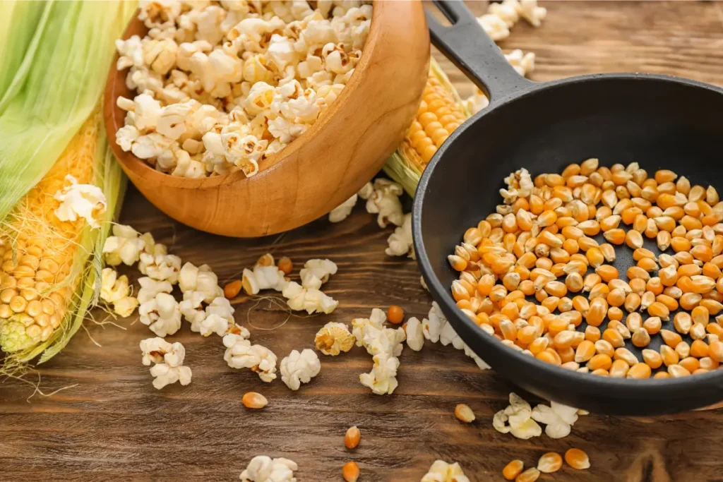 Popcorn adalah camilan yang terbuat dari varietas jagung khusus bernama Zea mays var. everta yang berbeda dari jagung biasa
