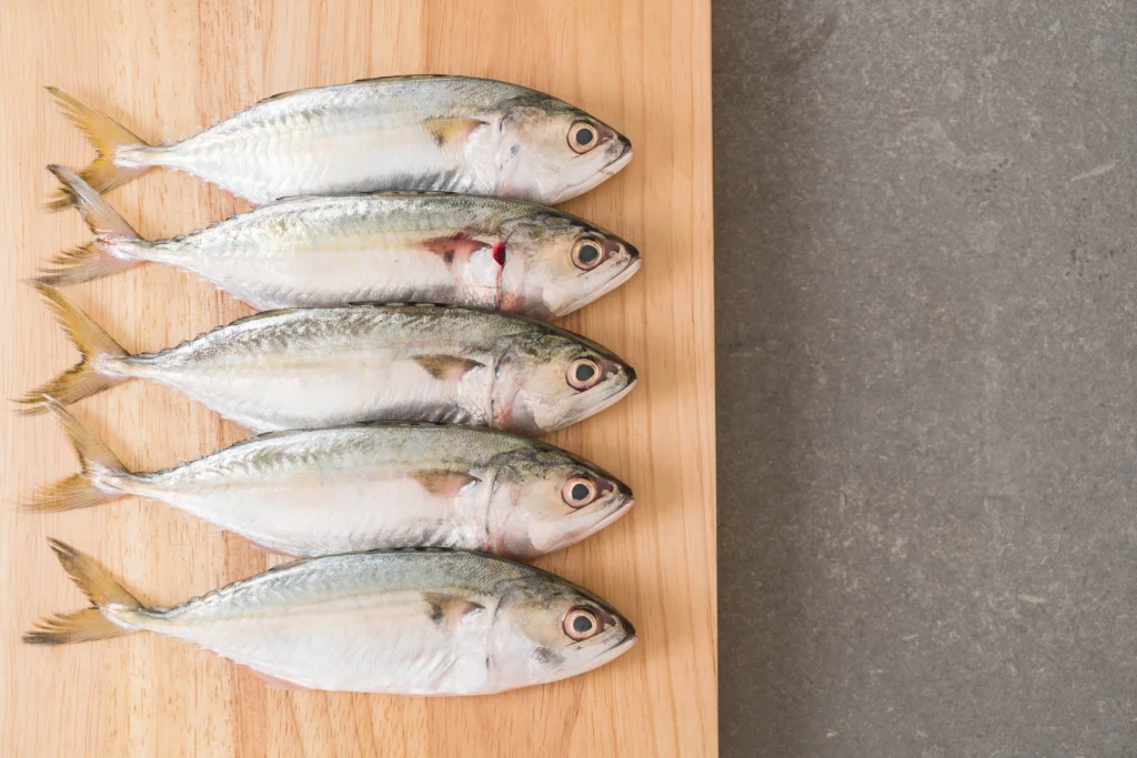 ikan kembung sebagai ikan lokal dengan harga yang lebih terjangkau sebagai pengganti ikan salmon