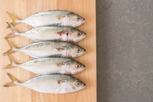 ikan kembung sebagai ikan lokal dengan harga yang lebih terjangkau sebagai pengganti ikan salmon
