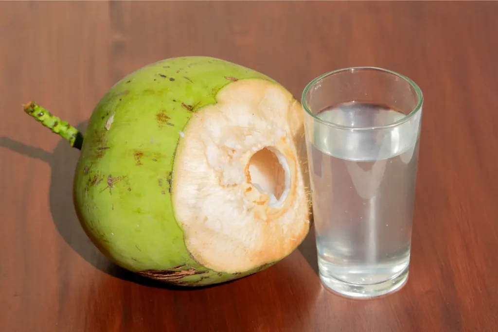 Kelapa muda lebih dominan mengandung air, elektrolit alami, kalium, magnesium, natrium, dan vitamin