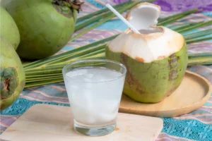 Kelapa Muda vs Kelapa Tua: Mana yang Lebih Cocok untuk Kebutuhanmu? Perbedaan kelapa muda vs kelapa tua dari masa panennya