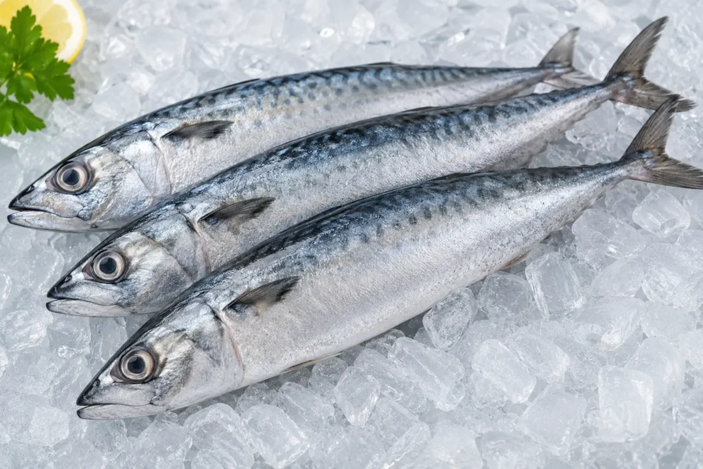 Ikan tenggiri segar utuh dengan tubuh keperakan dan mata jernih di atas tumpukan es