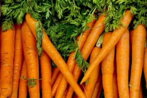 wortel yang lentur sudah tidak layak dimakan adalah MITOS