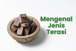 Mengenal jenis terasi di Indonesia ada terasi udang dan terasi ikan