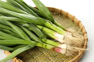Daun bawang adalah tanaman aromatik dari keluarga Amaryllidaceae dengan nama ilmiah Allium fistulosum L. yang masih satu keluarga dengan bawang merah, bawang putih, dan bawang bombai.