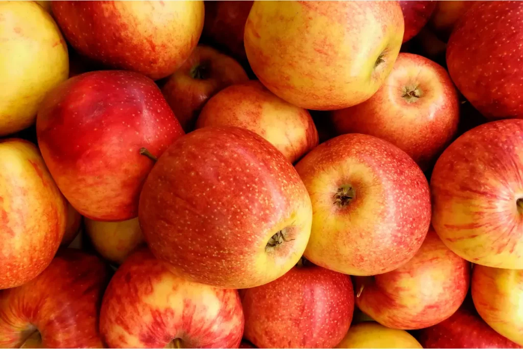 Benarkah Biji Apel Mengandung Sianida? Jangan Telan Sebelum Baca Ini! Buah apel segar yang baik dimakan bersama kulitnya